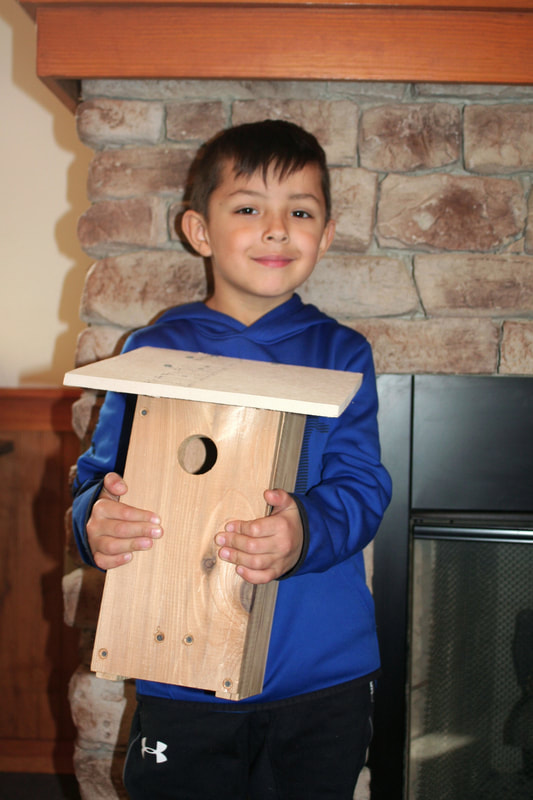 Young boy holds a blue bird nest box