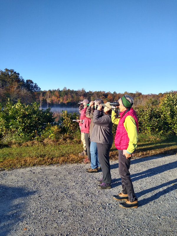 Five women standing in a line look through binoculars