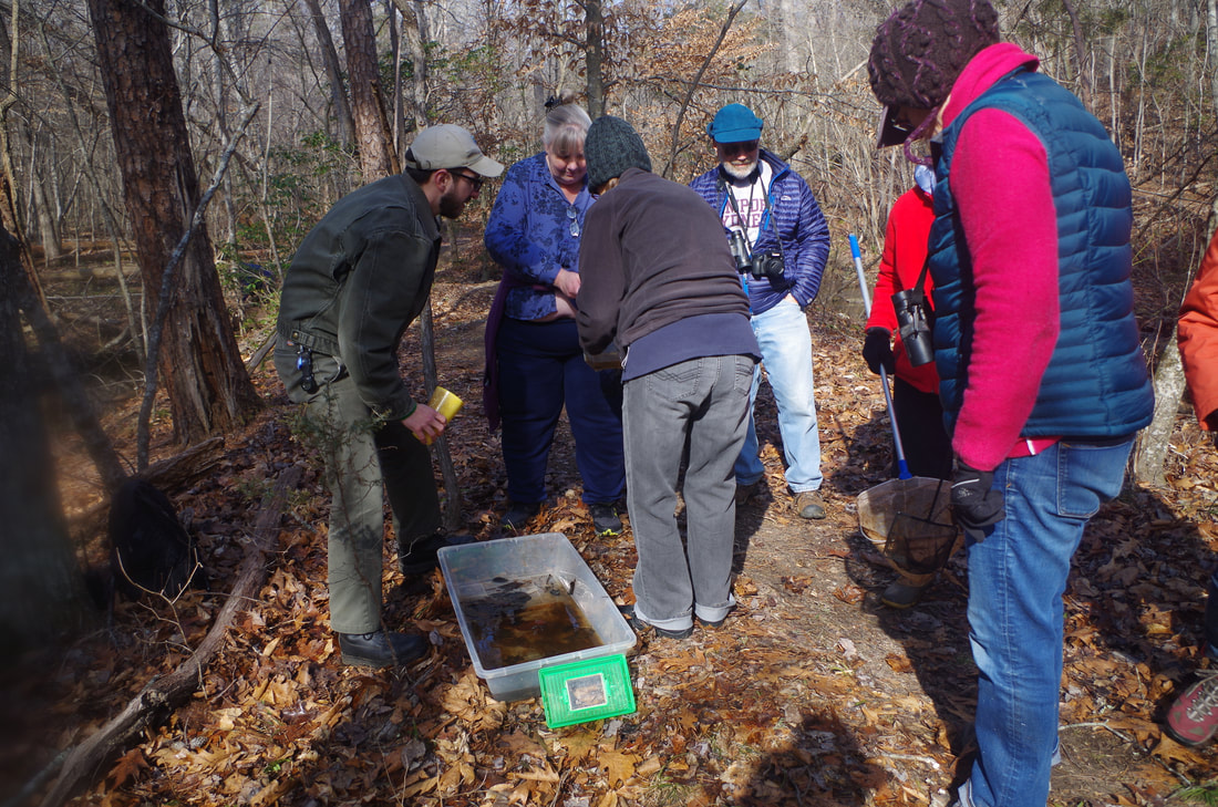 Group examines something collected from a vernal pool
